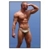 COLT Gage Weston Cock 30 cm
