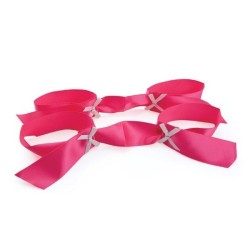 Satin Bondage Ribbon Kit  