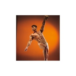 Jim French Diaries: The Creator of Colt Studio