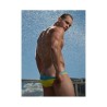 Trunk Show Swimwear Inspires Art