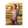 Trunk Show Swimwear Inspires Art