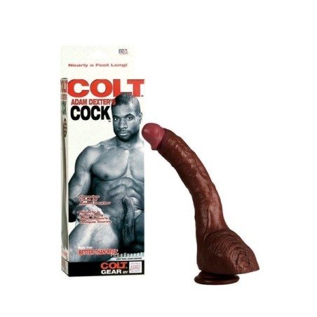 COLT Adam Dexter Cock 28 cm