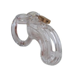 The Curve Chastitycage